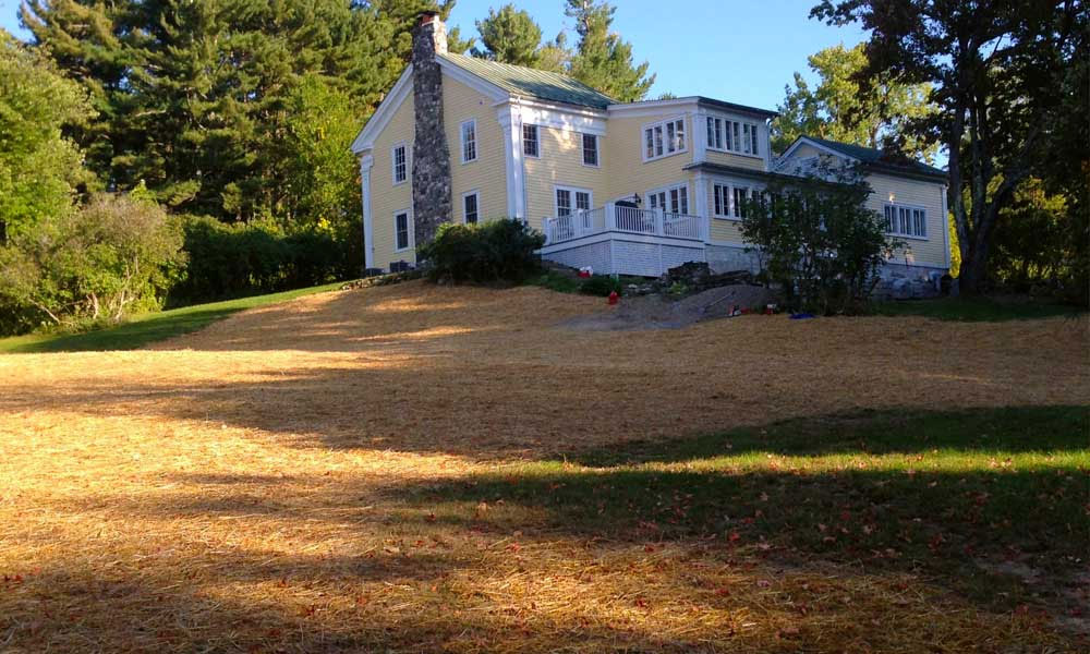 Forestry Mulching | Andrew Zema's Landscaping & Excavating - Berkshire County, Columbia County, Rensselaer County